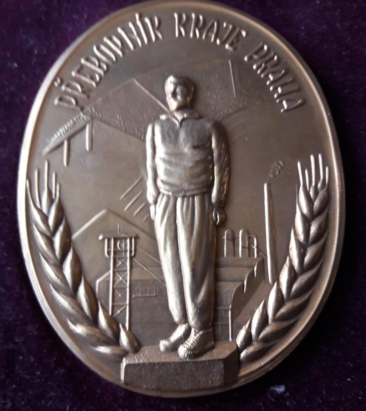 Medaile za přeborníka kraje v kategorii mladšího dorostu.